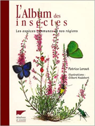 L'album des insectes. Les espèces communes de nos régions